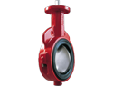 Butterfly Valve, Wafer, Gear, 10